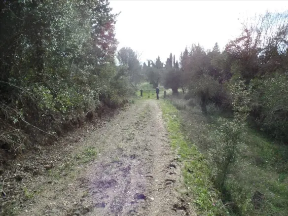 For Sale Land 35000 M² In Corfu