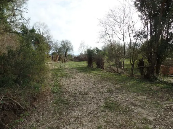 For Sale Land 35000 M² In Corfu
