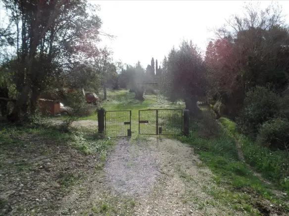 For Sale Land 35000 M² In Corfu