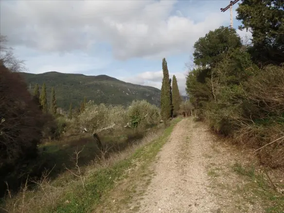 For Sale Land 35000 M² In Corfu