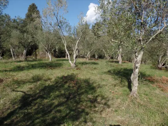 Land Of 4900 M² In Corfu