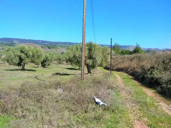 Land Of 5200 M² In Sithonia, Chalkidiki