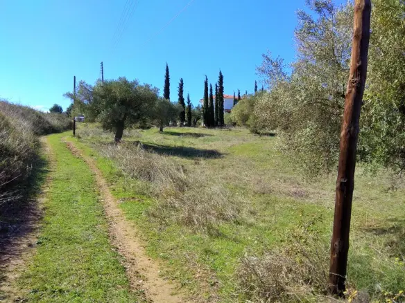 Land Of 5200 M² In Sithonia, Chalkidiki