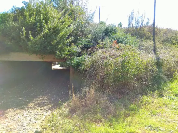 Land Of 5200 M² In Sithonia, Chalkidiki