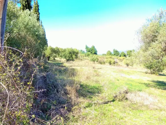 Land Of 1200 M² In Sithonia, Chalkidiki