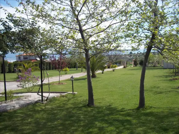 Detached House Of 350 M² In The Suburbs Of Thessaloniki