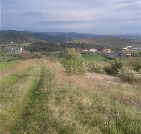 Land Of 12737 M² In The Suburbs Of Thessaloniki