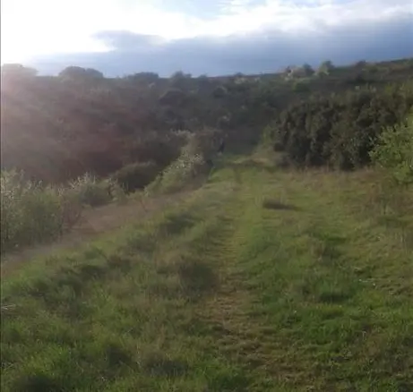 Land Of 12737 M² In The Suburbs Of Thessaloniki