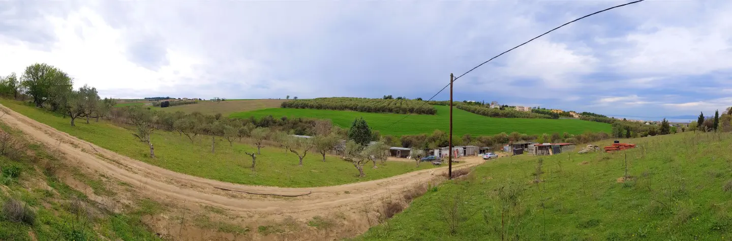 Land Of 12000 M² In The Suburbs Of Thessaloniki