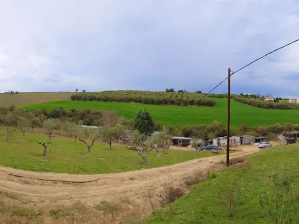 Land Of 12000 M² In The Suburbs Of Thessaloniki
