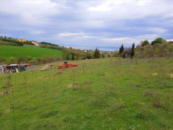 Land Of 12000 M² In The Suburbs Of Thessaloniki