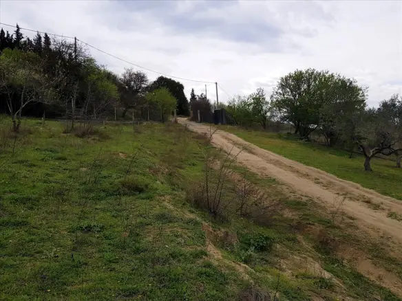 Land Of 12000 M² In The Suburbs Of Thessaloniki