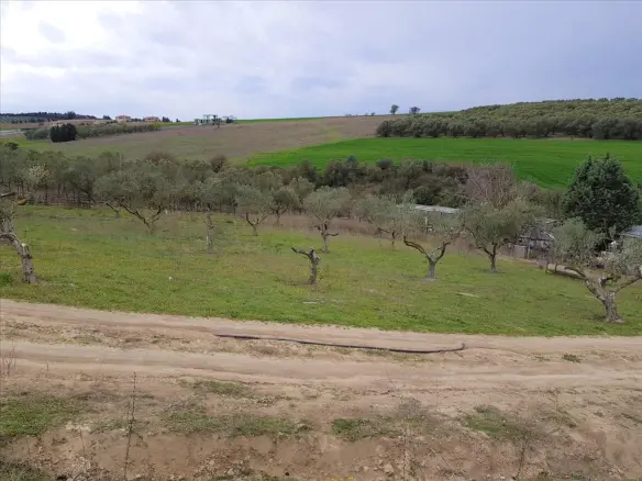 Land Of 12000 M² In The Suburbs Of Thessaloniki