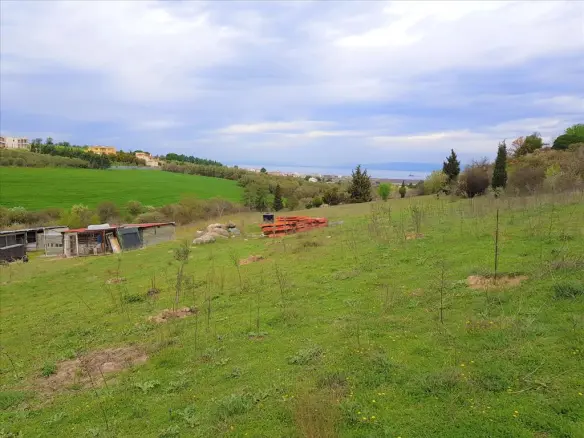 Land Of 12000 M² In The Suburbs Of Thessaloniki