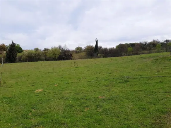 Land Of 12000 M² In The Suburbs Of Thessaloniki