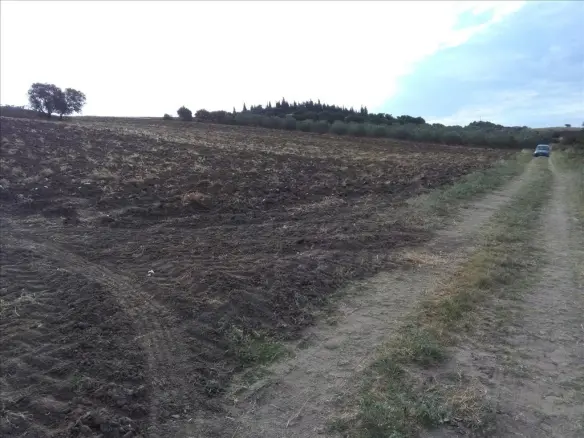 Land In Mikra, Greece (16.313 M²)