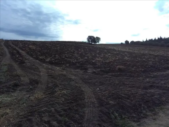 Land In Mikra, Greece (16.313 M²)