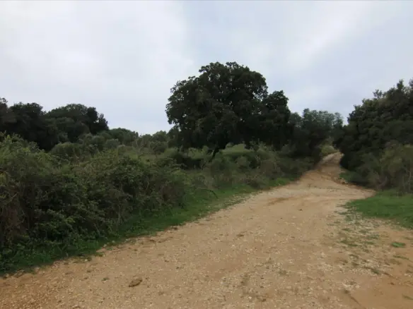 Land In Corfu, Greece