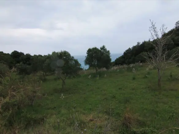 Land In Corfu, Greece