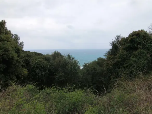 Land In Corfu, Greece