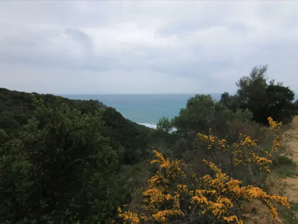 Land In Corfu, Greece