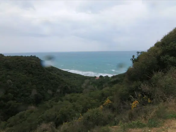 Land In Corfu, Greece