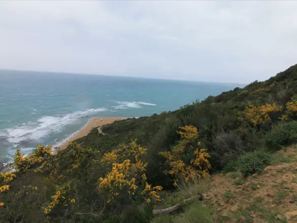 Land In Corfu, Greece
