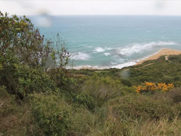 Land In Corfu, Greece