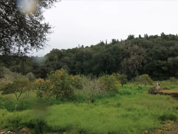 Land In Corfu, Greece