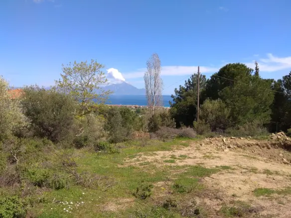 Land In Sithonia, Greece