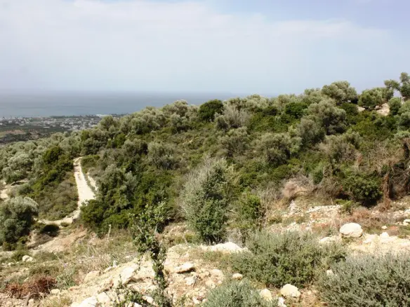 Land In Rethimno, Greece