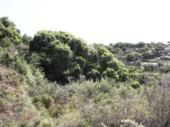 Land In Rethimno, Greece