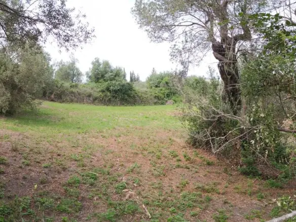 2103 M² Plot Available In Corfu