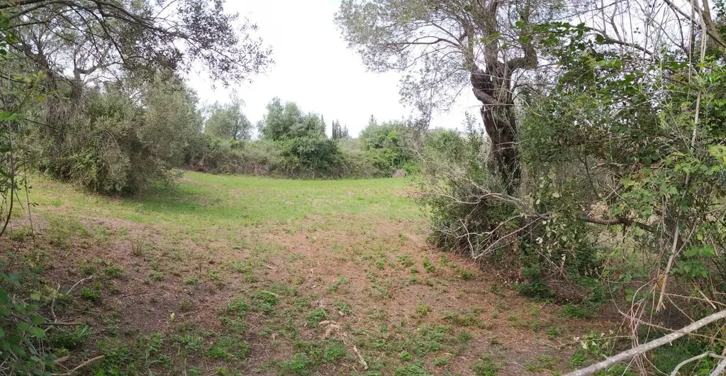 2103 M² Plot Available In Corfu