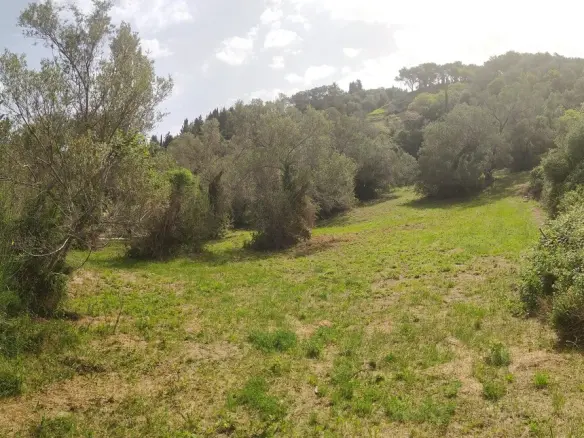 2103 M² Plot Available In Corfu