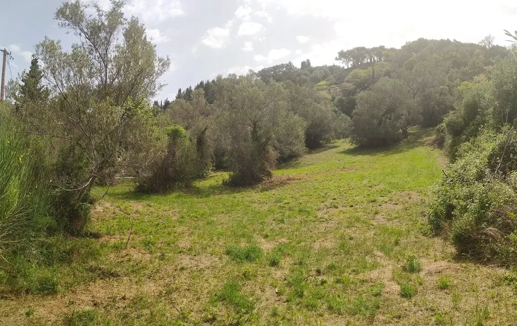 2103 M² Plot Available In Corfu