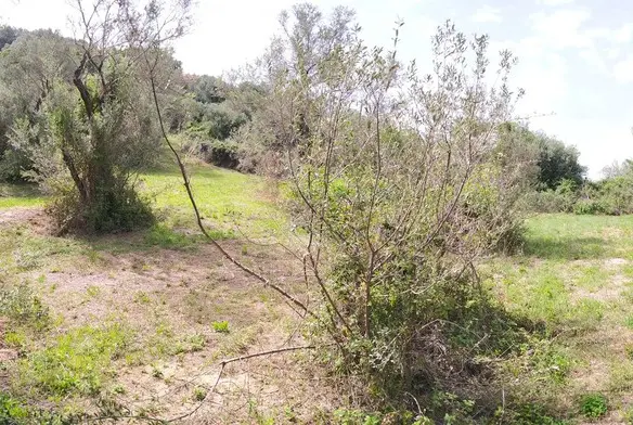 2103 M² Plot Available In Corfu