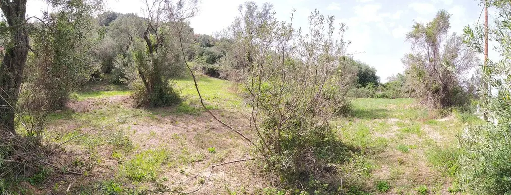 2103 M² Plot Available In Corfu