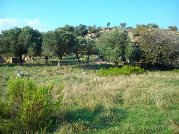 Land In Sithonia, Greece (3.200 M²)
