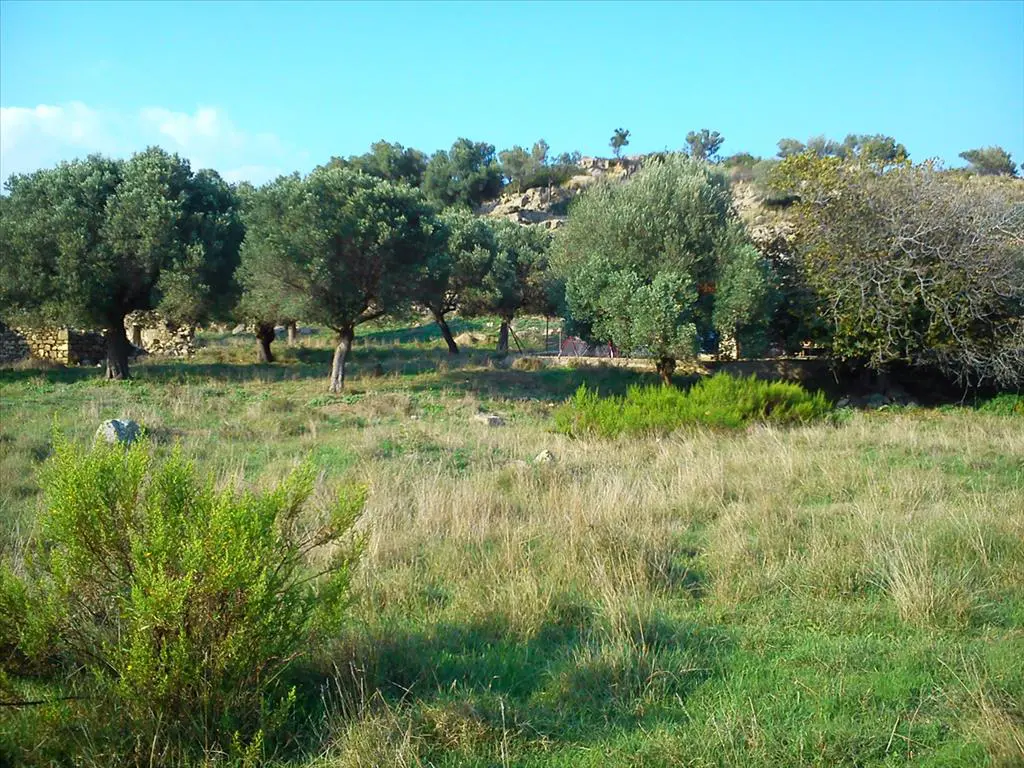 Land Of 3200 M² In Sithonia, Chalkidiki