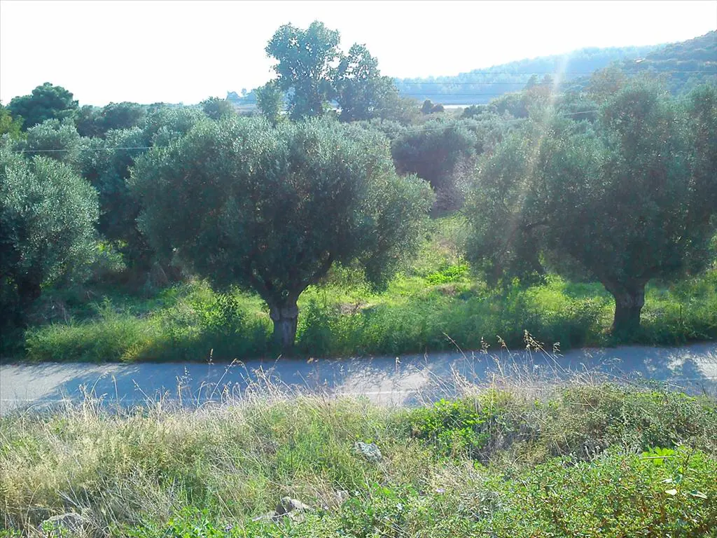 Land Of 3200 M² In Sithonia, Chalkidiki