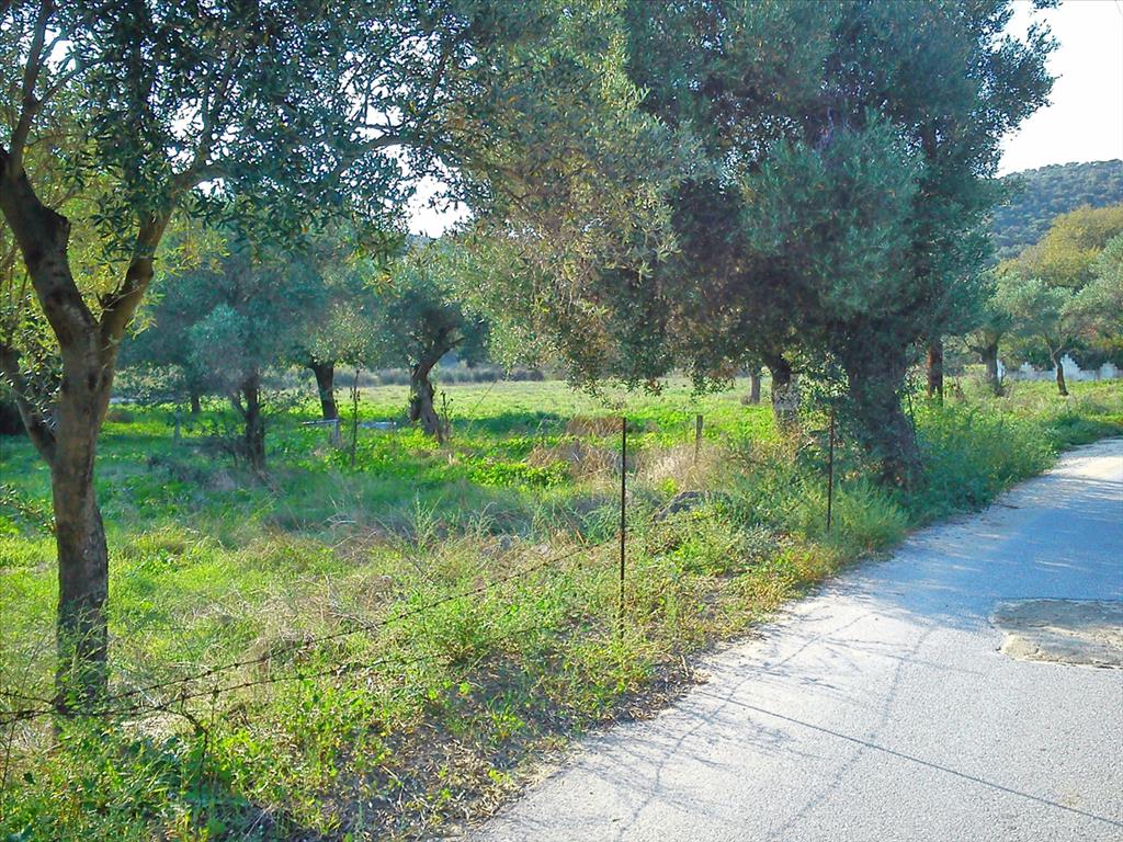 Land Of 3200 M² In Sithonia, Chalkidiki