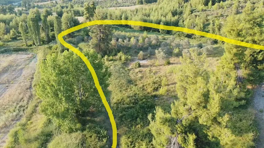Land Of 11046 M² In Kassandra, Chalkidiki