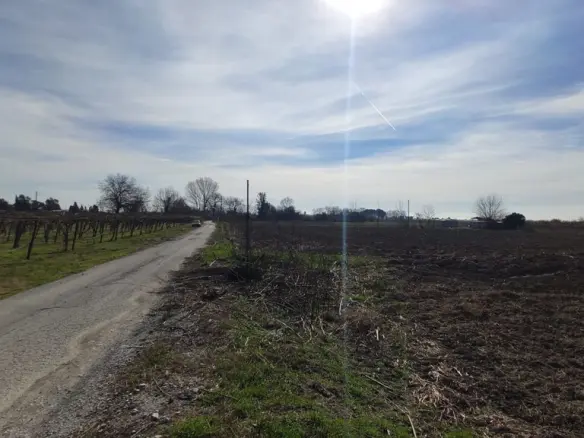 Land In Katerini, Greece