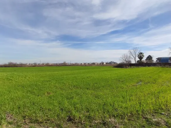 Land In Katerini, Greece