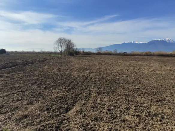 Land In Katerini, Greece