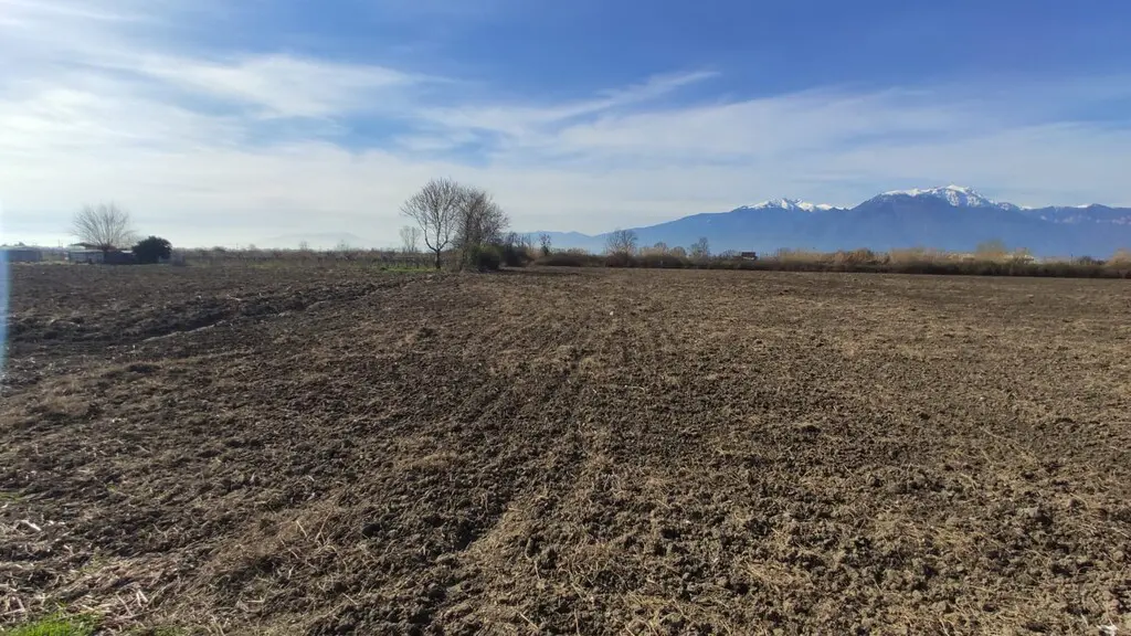 Land Of 20000 M² On The Olympic Coast