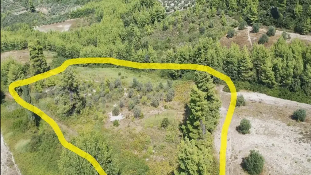 Land Of 11046 M² In Kassandra, Chalkidiki
