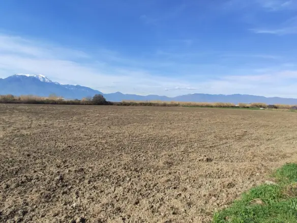 Land In Katerini, Greece