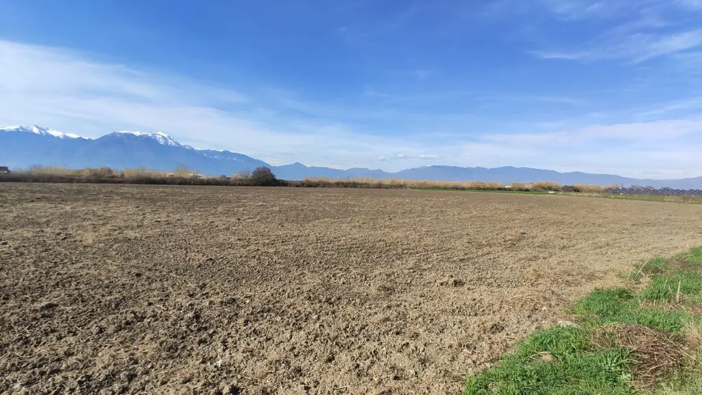 Land Of 20000 M² On The Olympic Coast